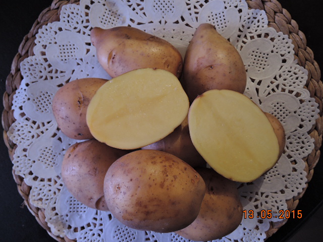 Зекура картофель характеристика. Сорт картофеля Зекура. Картошка сорт Зекура. Картофель Галла Легенда Люкс Зекура.